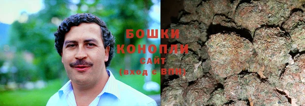 ГАЛЛЮЦИНОГЕННЫЕ ГРИБЫ Армянск