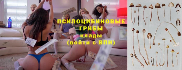 ГАЛЛЮЦИНОГЕННЫЕ ГРИБЫ Армянск