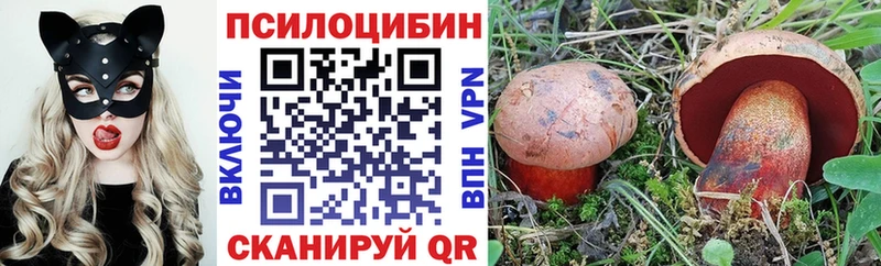 как найти наркотики  Тырныауз  OMG ONION  Псилоцибиновые грибы Magic Shrooms 